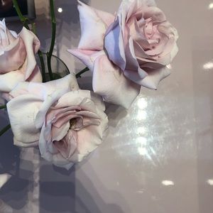 Meet your Posher, Mia